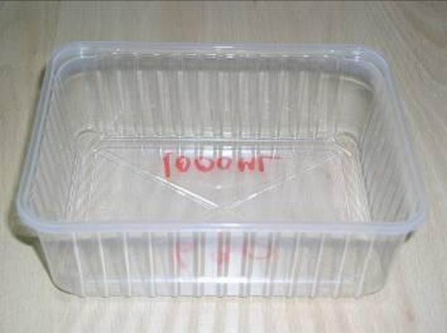 Plastic container 1000 ml + cover